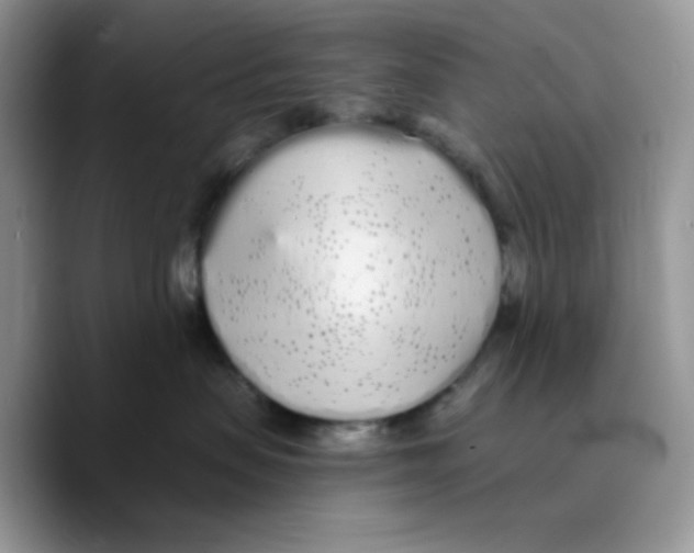 X0000089760479200707201946