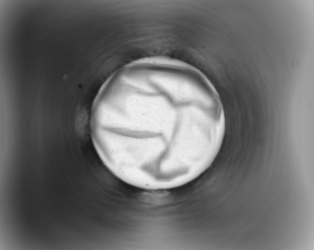 X0000089760480200707201946