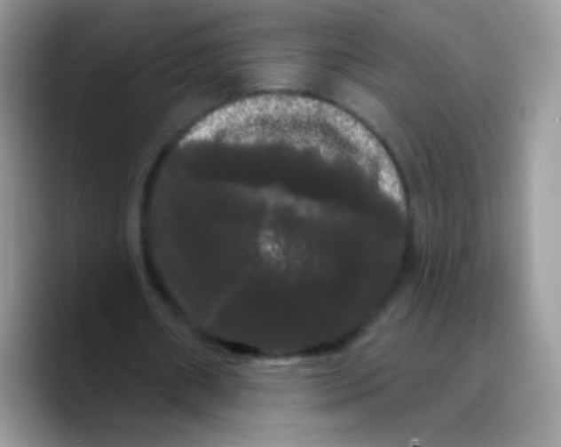 X0000089760482200707201945
