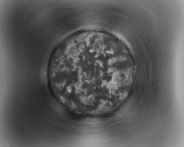 X0000089760487200707201945