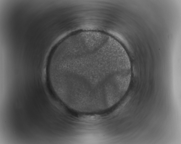 X0000089760488200707201945