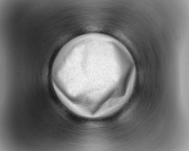 X0000089760490200707201945