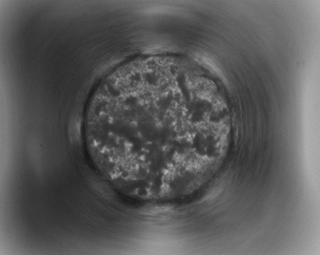 X0000089760491200707201945