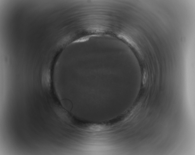 X0000089760494200707201945