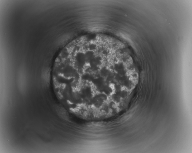 X0000089760495200707201945