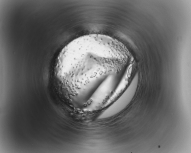 X0000089760496200707201945