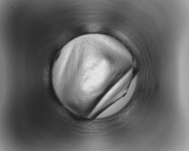X0000089760497200707201945
