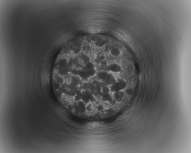 X0000089760499200707201945