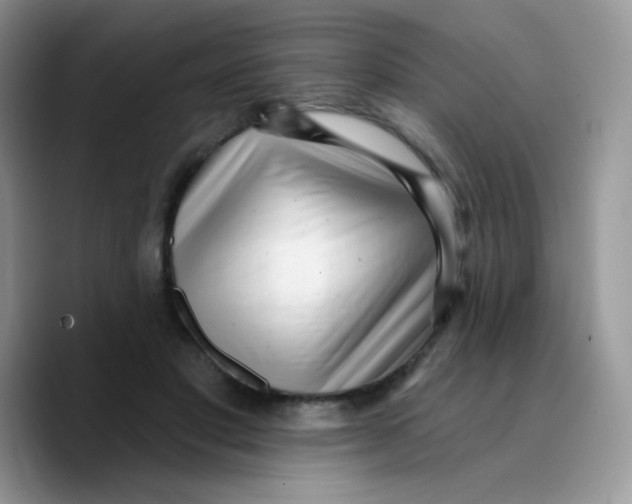 X0000089760501200707201945