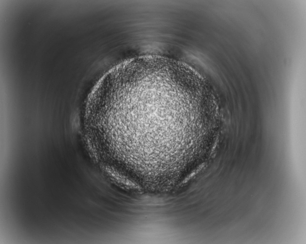 X0000089760502200707201945
