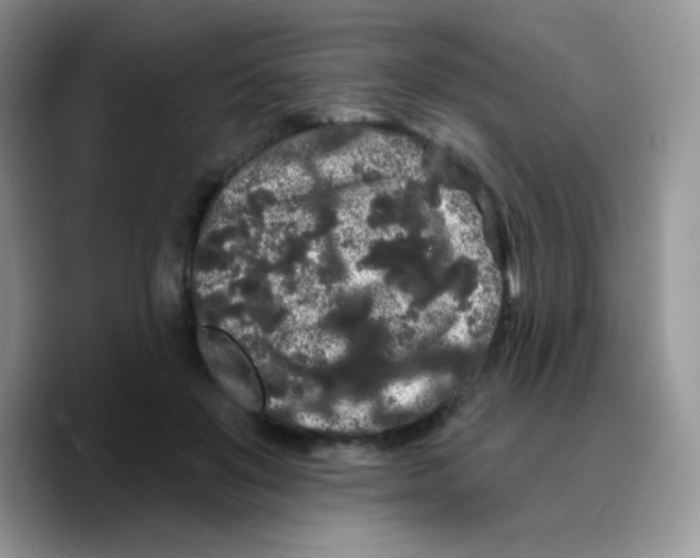 X0000089760503200707201945