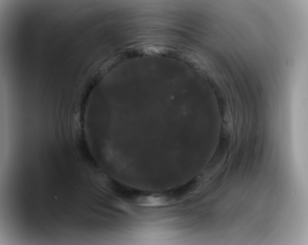 X0000089760506200707201945