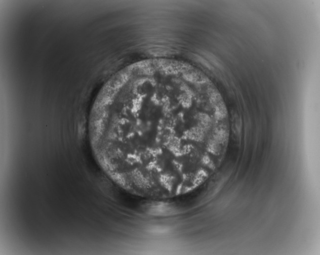 X0000089760507200707201945