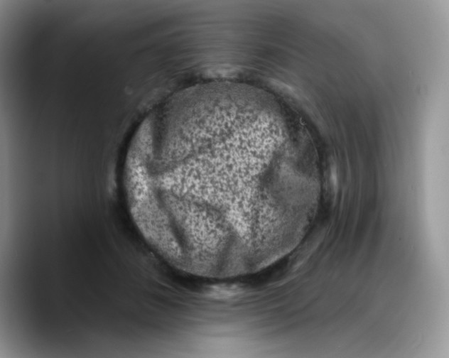 X0000089760508200707201945