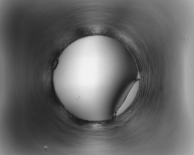 X0000089760509200707201945