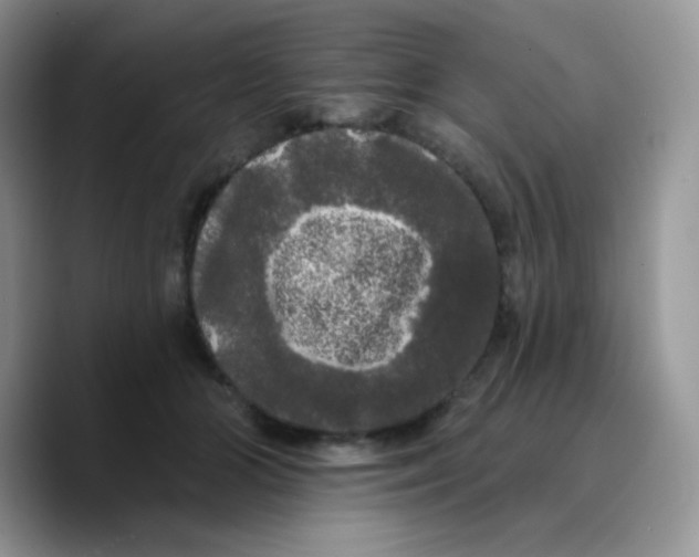 X0000089760510200707201945