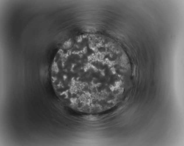 X0000089760511200707201945