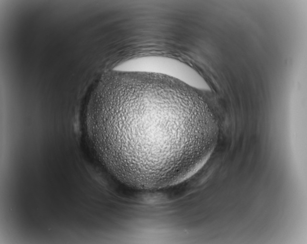 X0000089760512200707201945