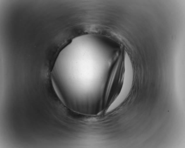 X0000089760513200707201945