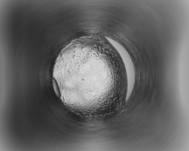X0000089760516200707201945