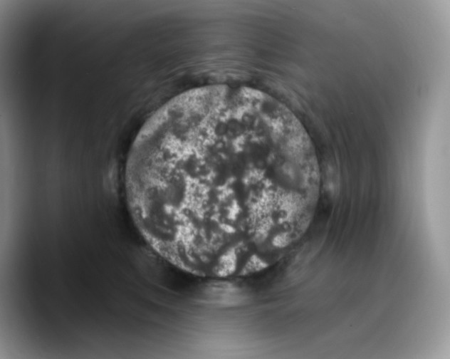 X0000089760519200707201945