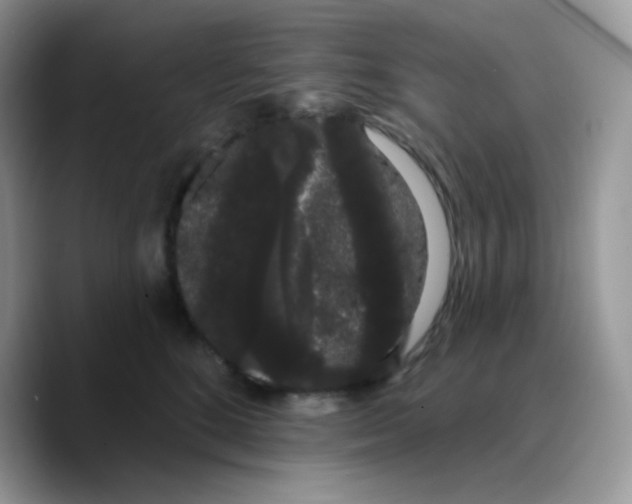 X0000089760520200707201945