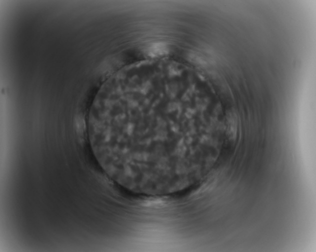 X0000089760523200707201945