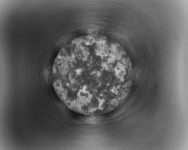 X0000089760527200707201945