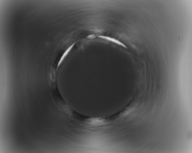 X0000089760528200707201945