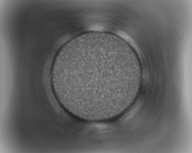 X0000089760529200707201944