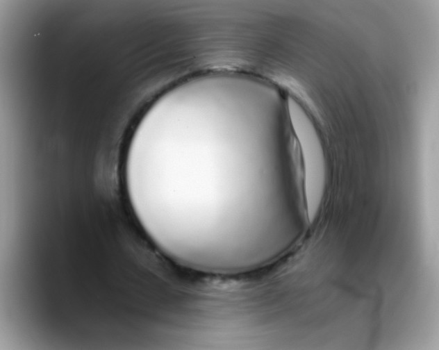 X0000089760531200707201944