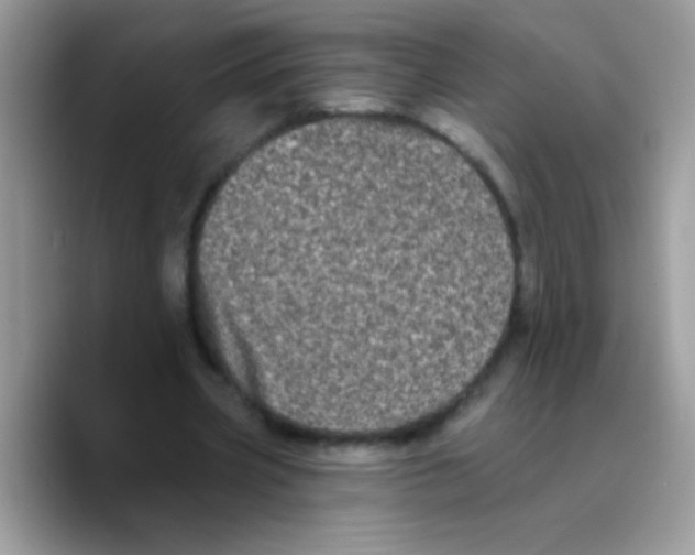 X0000089760533200707201944