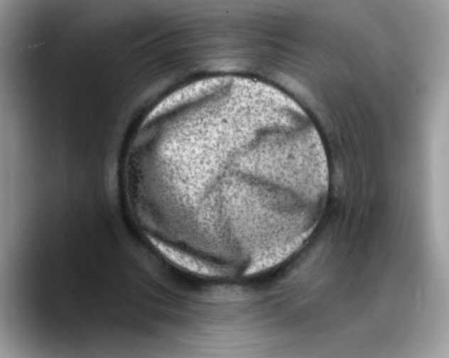 X0000089760535200707201944