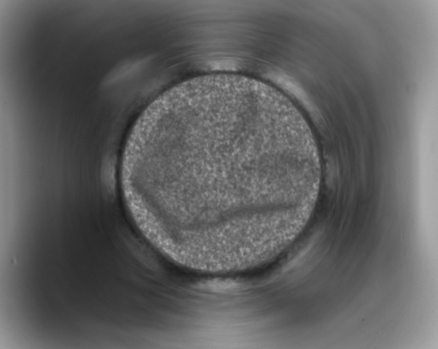 X0000089760537200707201944