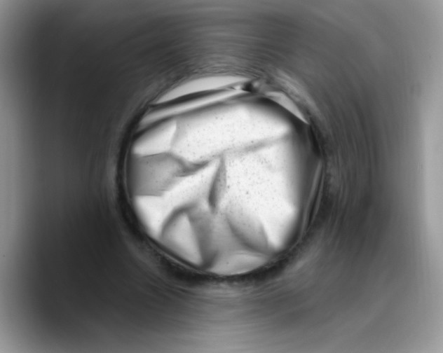 X0000089760538200707201944