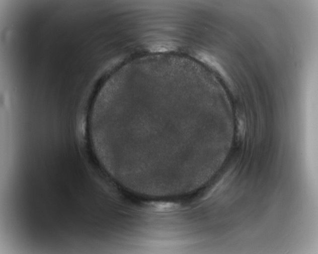 X0000089760539200707201944