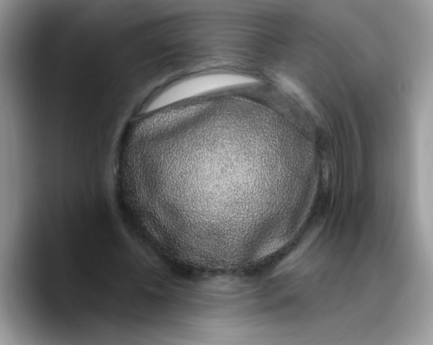 X0000089760540200707201944