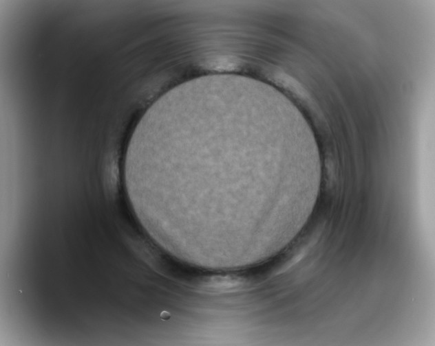 X0000089760541200707201944