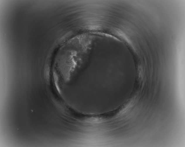X0000089760542200707201944