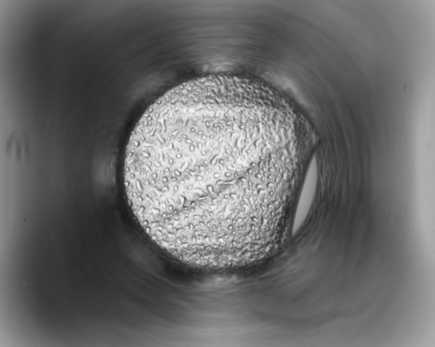 X0000089760543200707201944