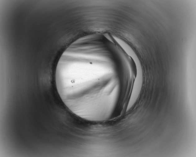 X0000089760544200707201944