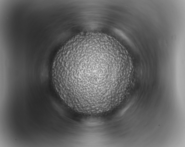 X0000089760546200707201944