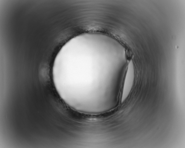 X0000089760547200707201944