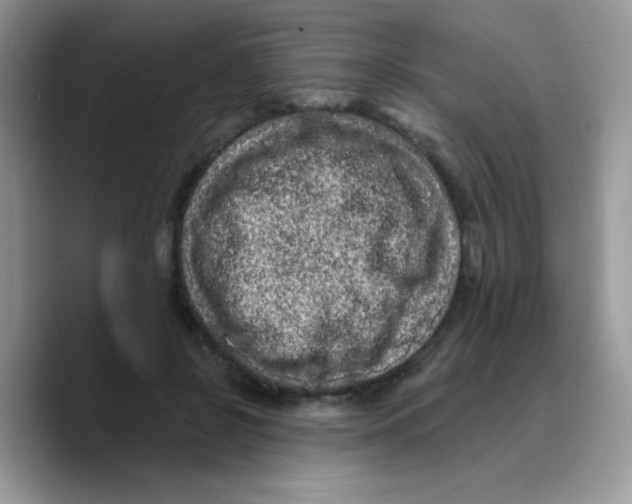X0000089760550200707201944