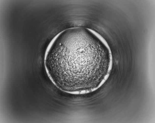 X0000089760551200707201944
