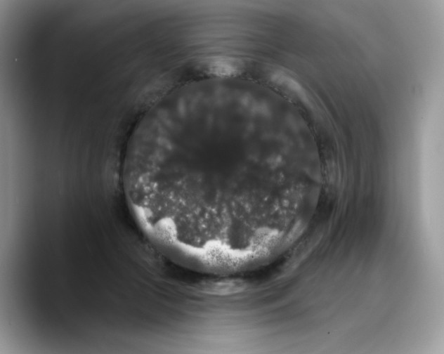 X0000089760553200707201944