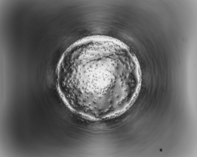 X0000089760554200707201944