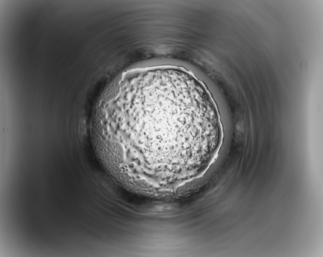 X0000089760555200707201944