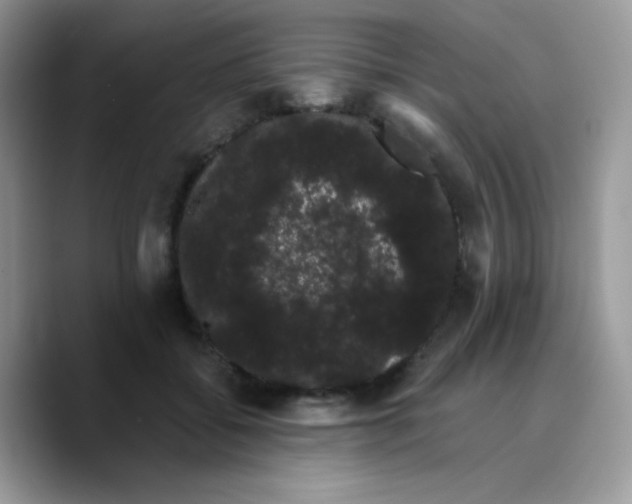 X0000089760556200707201944