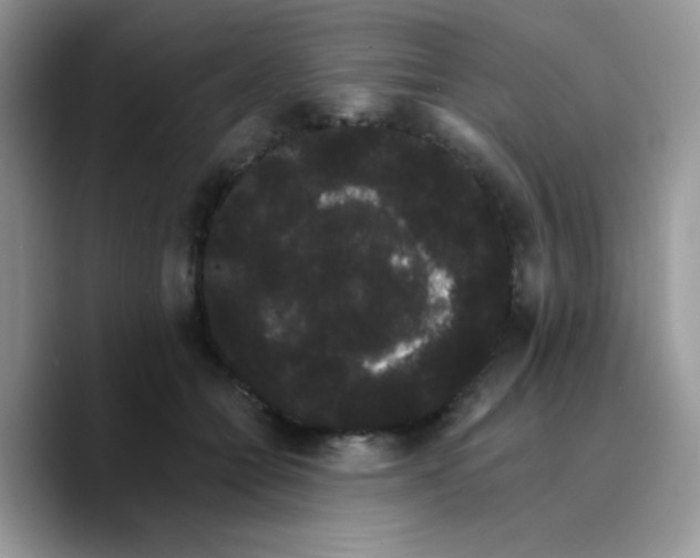 X0000089760558200707201944